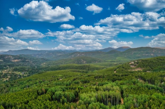 Aerial view of the pine-covered foothills surrounding Evergreen, Colorado